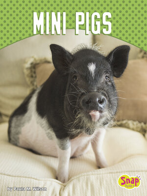 cover image of Mini Pigs